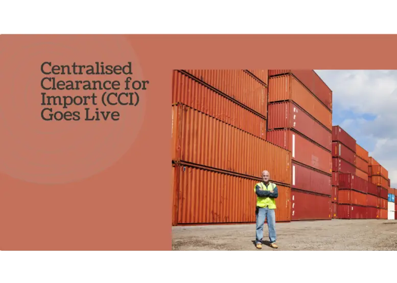 CCI (Vămuirea centralizată la import) - Ghid privind normele TVA-ului din statele membre și implementarea acestora