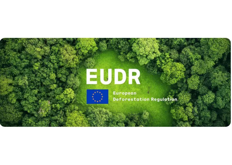 EUDR – Coduri TARIC publicate