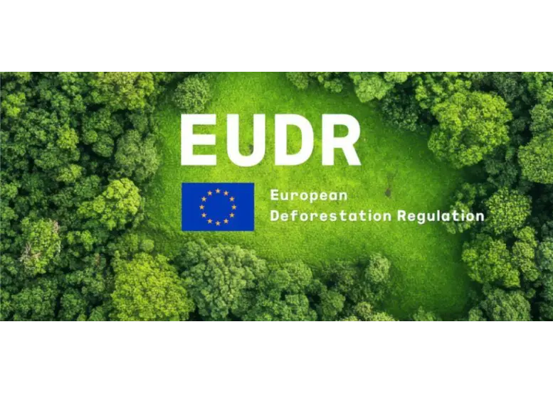 EUDR - Întrebări frecvente, traduceri și rectificare
