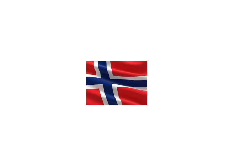 NORVEGIA INTRODUCE RAPORTAREA VAMALĂ DIGITALĂ OBLIGATORIE 